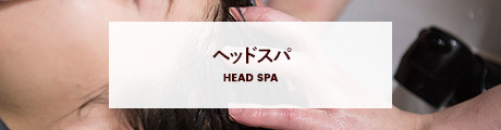 HEAD SPA