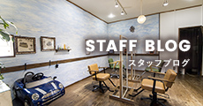 STAFF BLOG